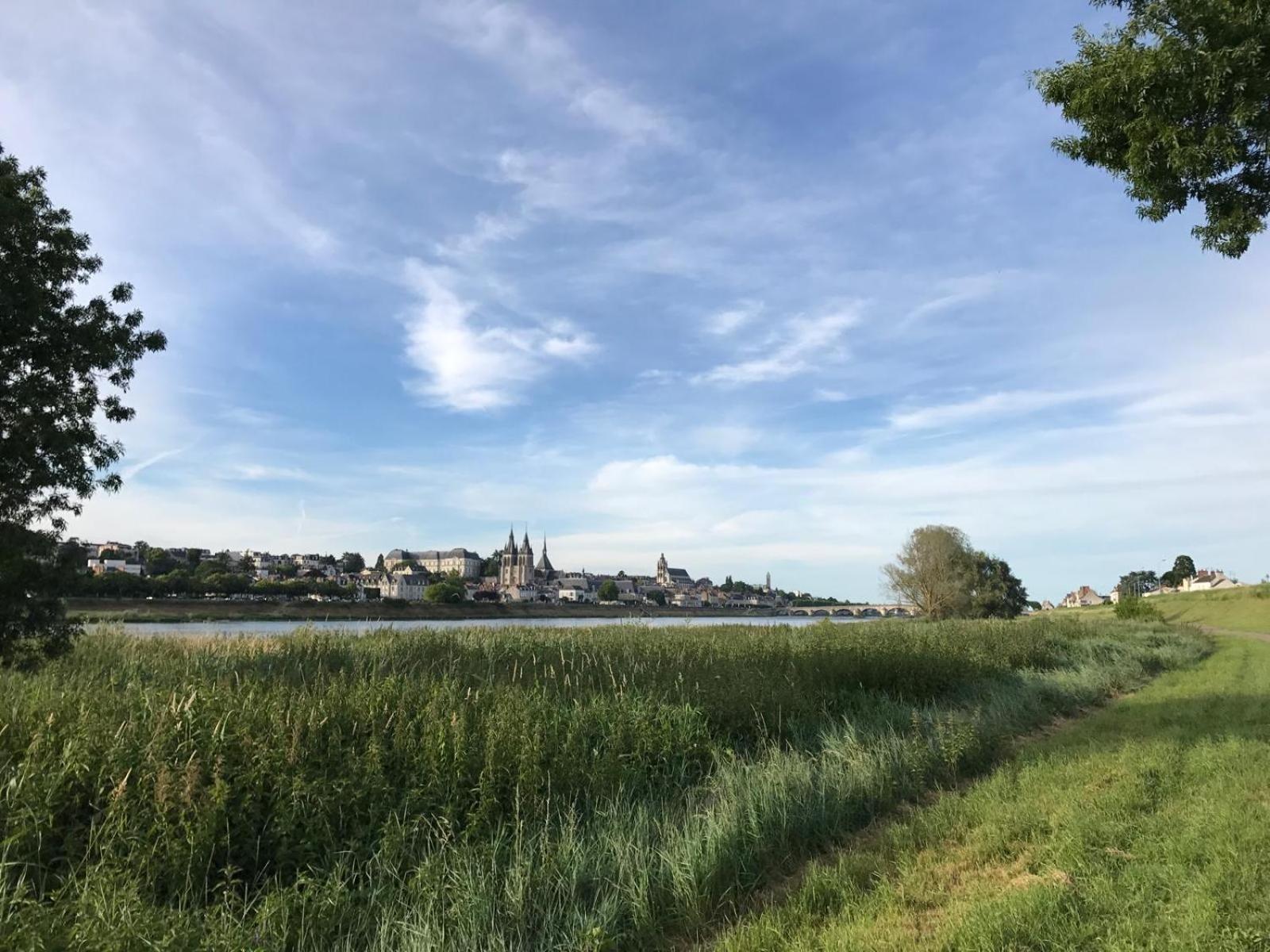 Quai De La Loire Lejlighed Blois Eksteriør billede
