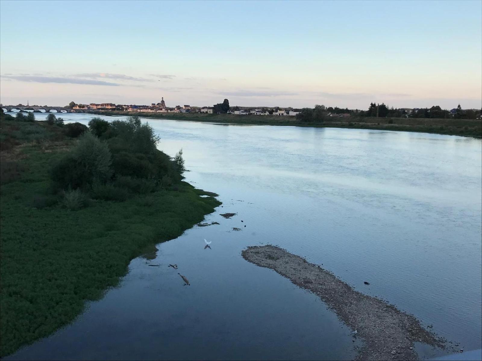 Quai De La Loire Lejlighed Blois Eksteriør billede