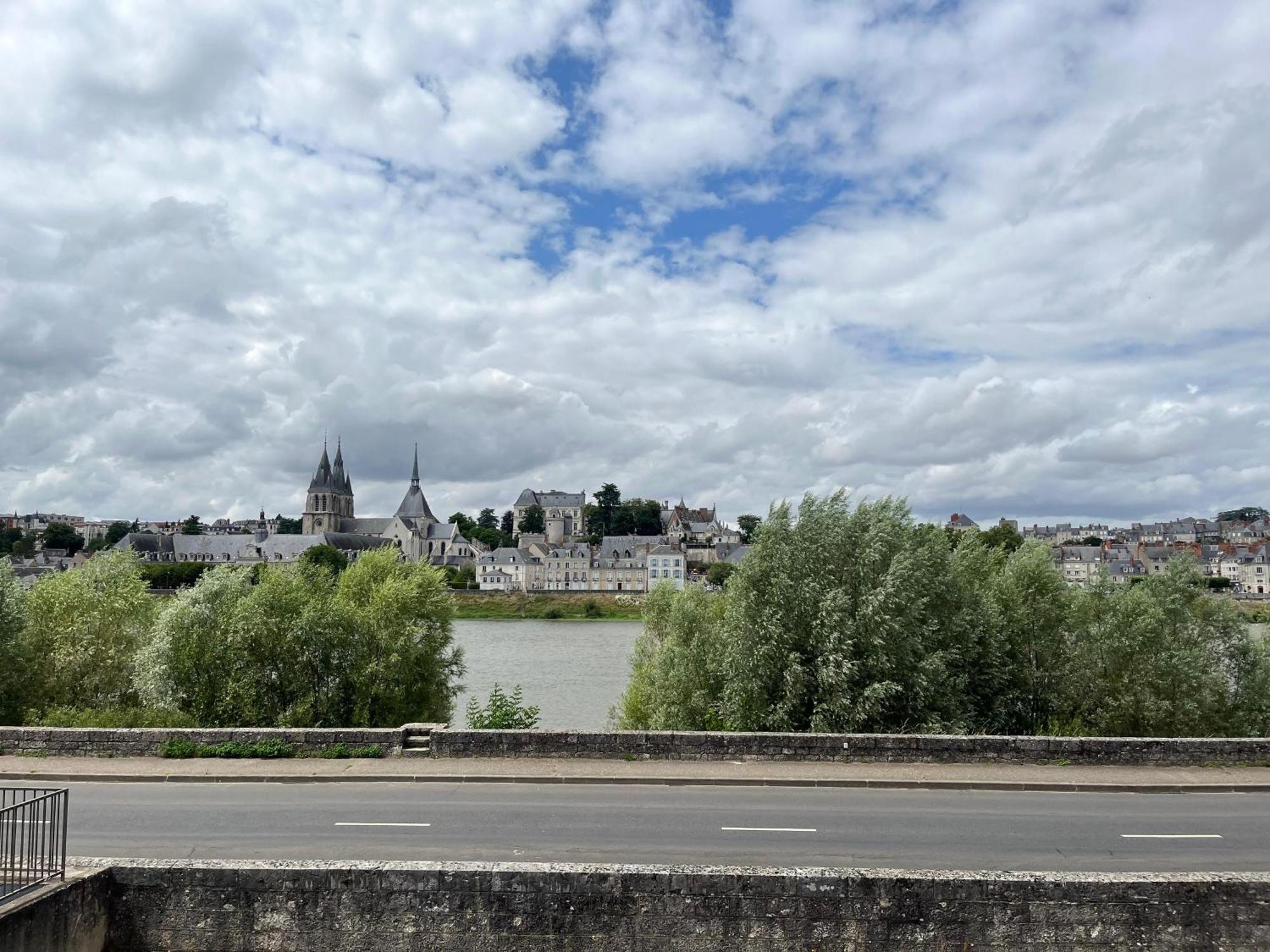 Quai De La Loire Lejlighed Blois Eksteriør billede