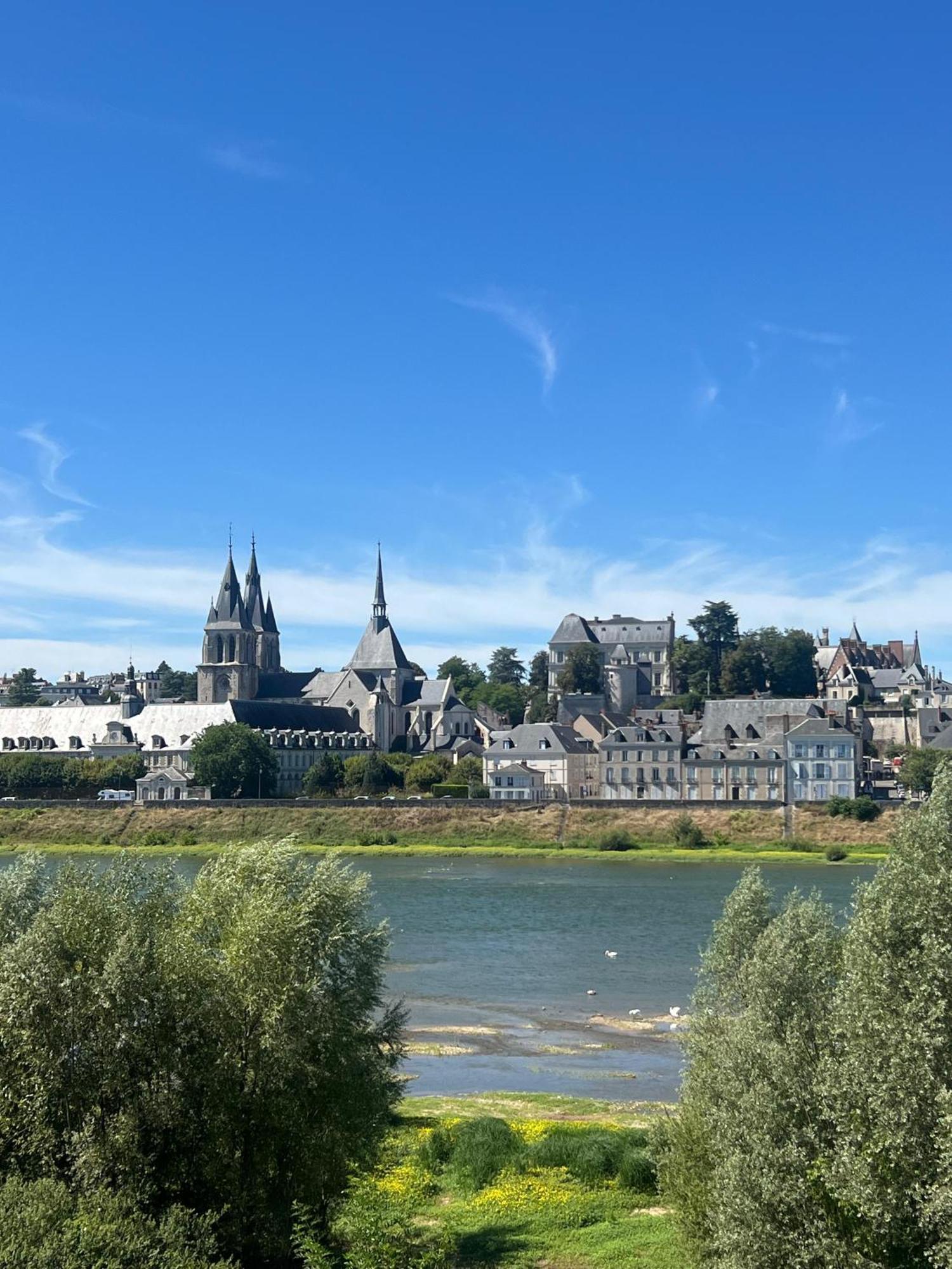 Quai De La Loire Lejlighed Blois Eksteriør billede